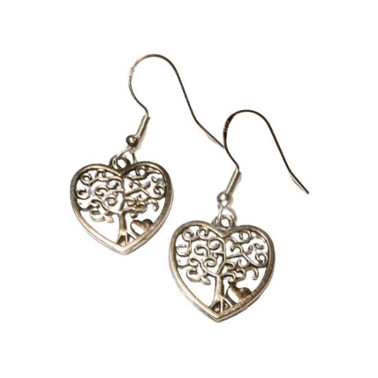 11 transparent bg designify 4