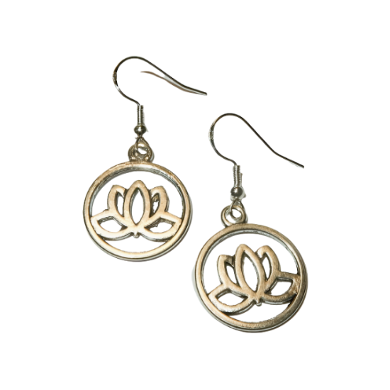 11 transparent bg designify 7