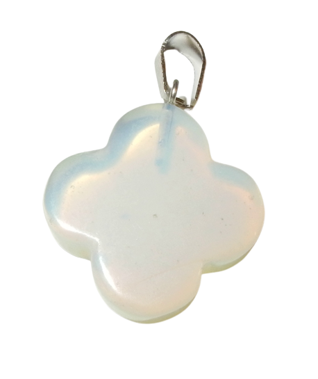 Dscn0022 removebg preview