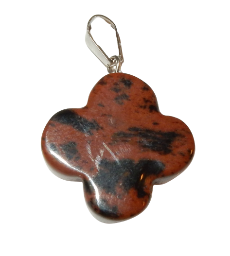 Dscn0023 removebg preview