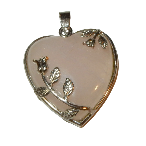 Dscn0030 removebg preview