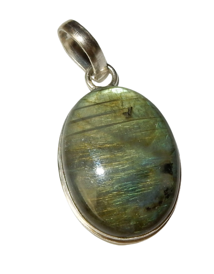 Dscn0316 removebg preview