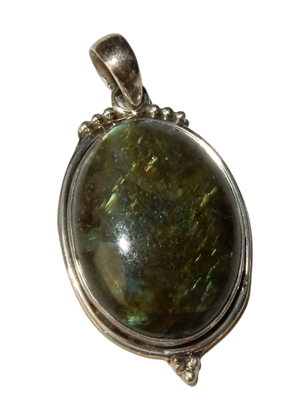 Dscn0317 removebg preview