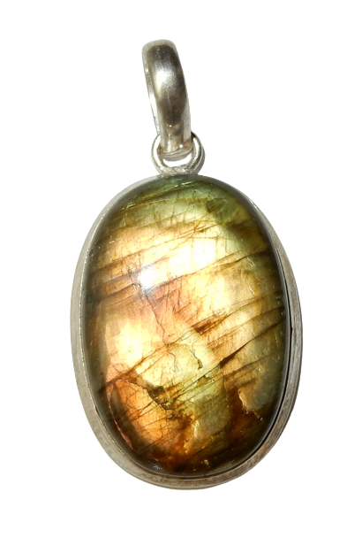 Dscn0321 removebg preview