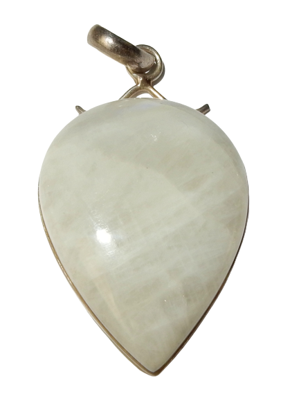 Dscn0364 removebg preview