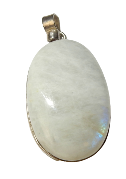 Dscn0366 removebg preview