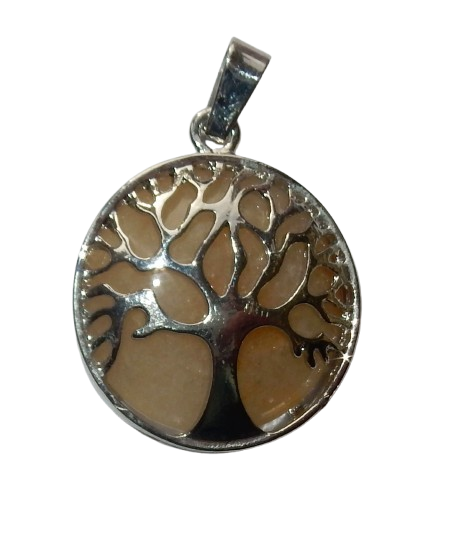 Dscn1430 removebg preview 2