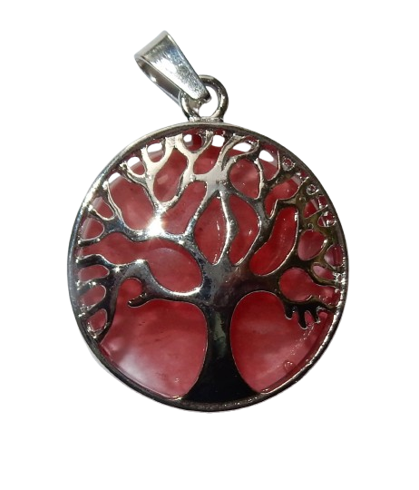 Dscn1431 removebg preview 2