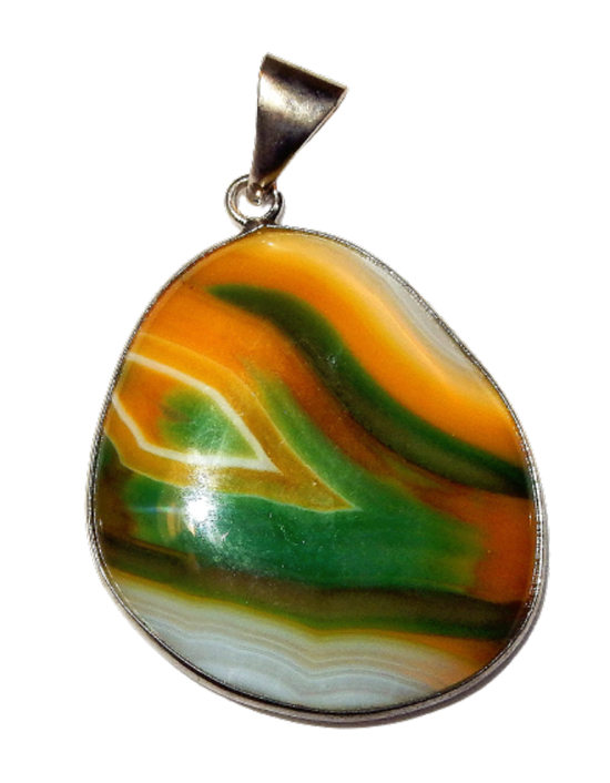 Dscn2397 removebg preview