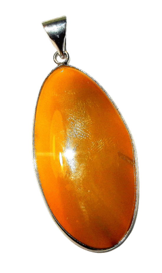 Dscn2399 removebg preview