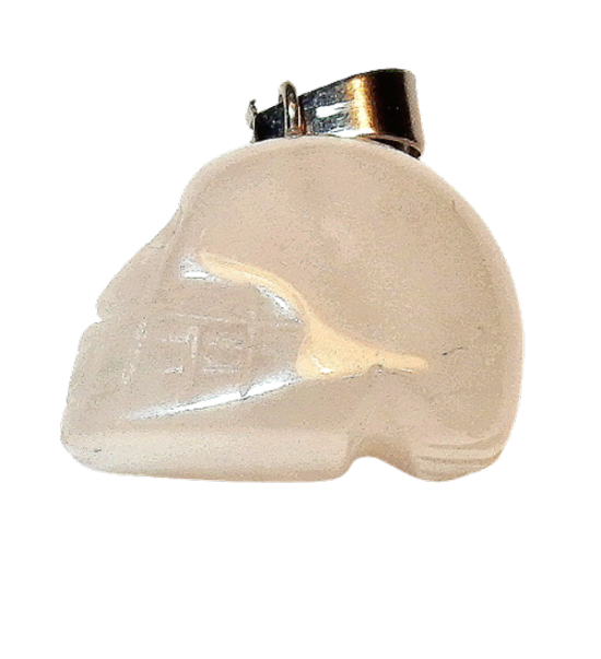 Dscn2440 removebg preview