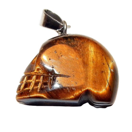 Dscn2446 removebg preview