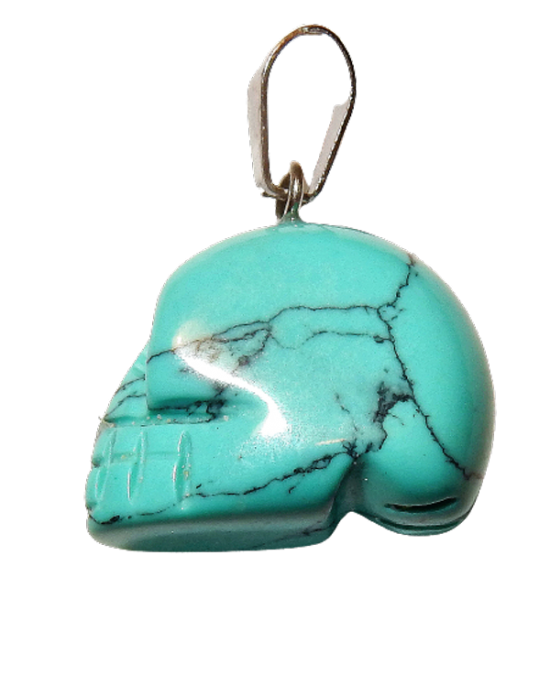 Dscn2447 removebg preview