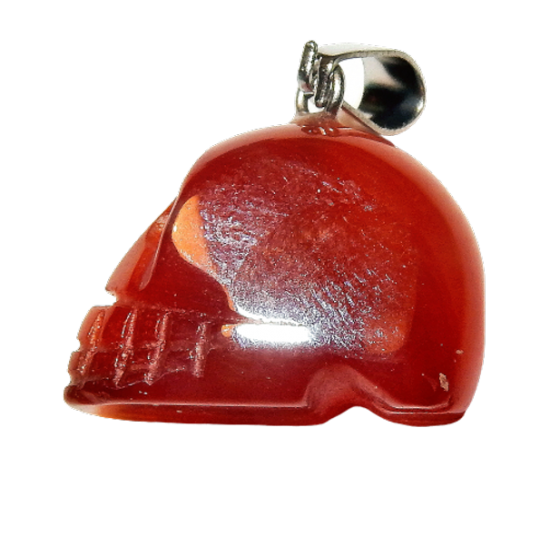 Dscn2448 removebg preview