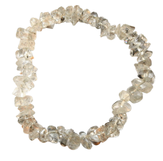 Dscn2524 removebg preview