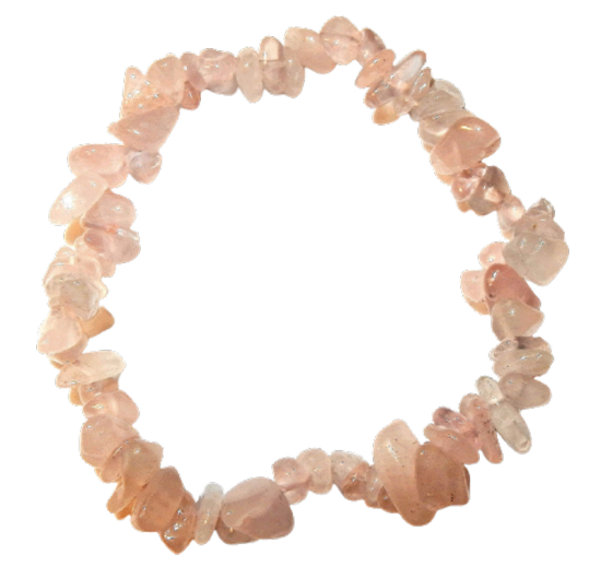 Dscn2528 removebg preview