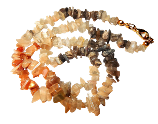 Dscn2558 removebg preview