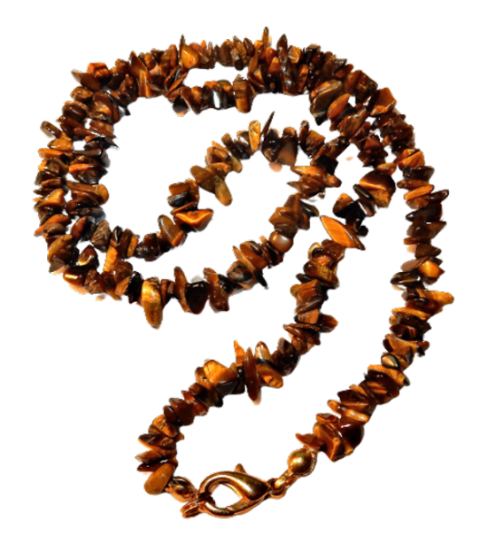 Dscn2559 removebg preview