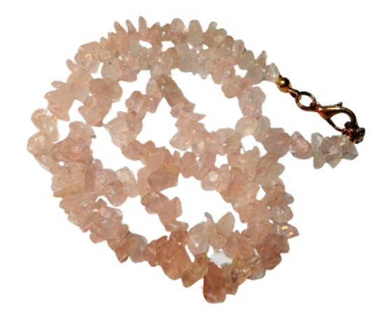 Dscn2560 removebg preview