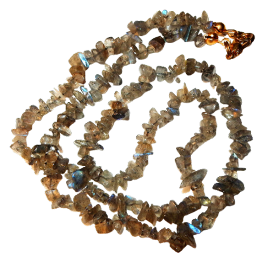 Dscn2561 removebg preview