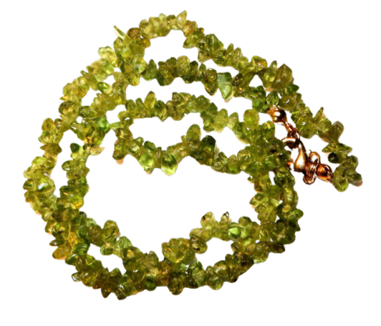 Dscn2562 removebg preview