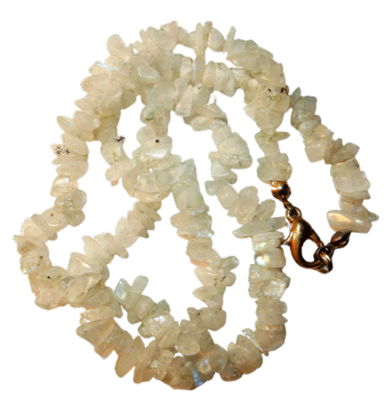 Dscn2563 removebg preview