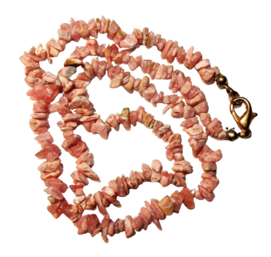 Dscn2564 removebg preview