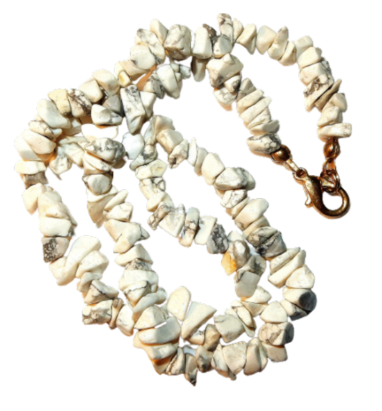 Dscn2567 removebg preview