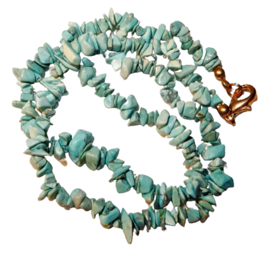 Dscn2569 removebg preview