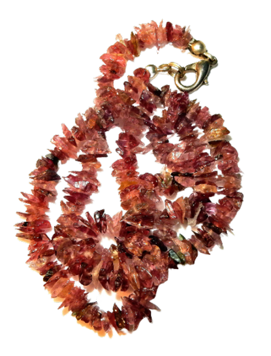 Dscn2570 removebg preview