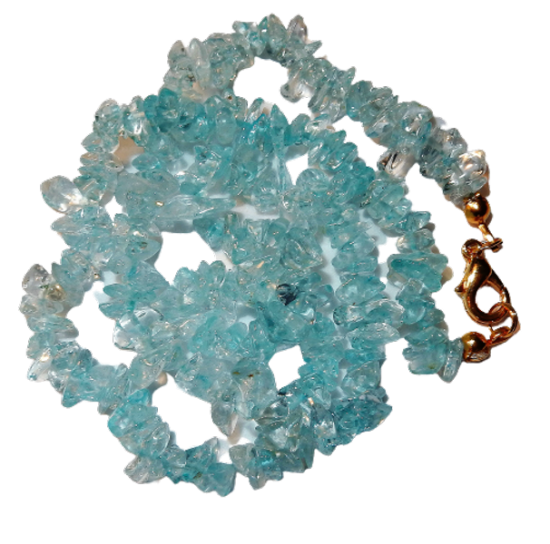 Dscn2574 removebg preview