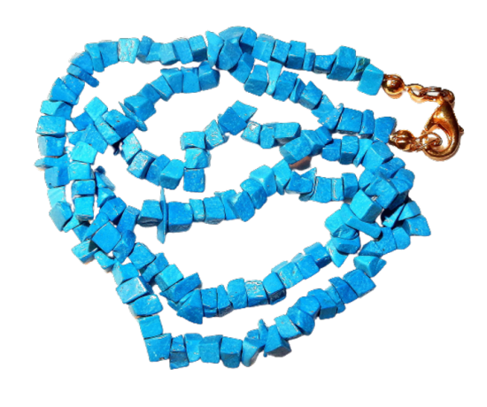 Dscn2576 removebg preview