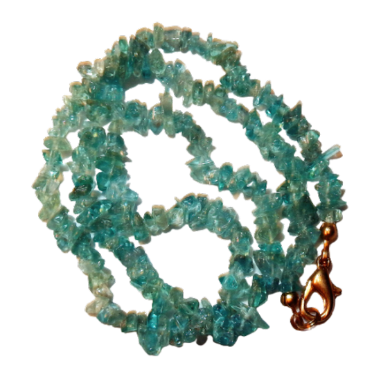 Dscn2584 removebg preview