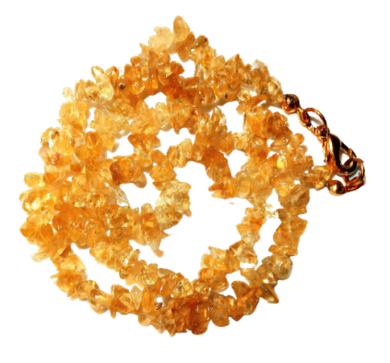 Dscn2586 removebg preview