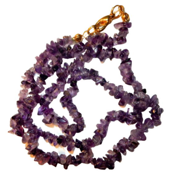 Dscn2587 removebg preview