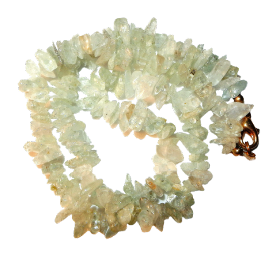 Dscn2588 removebg preview