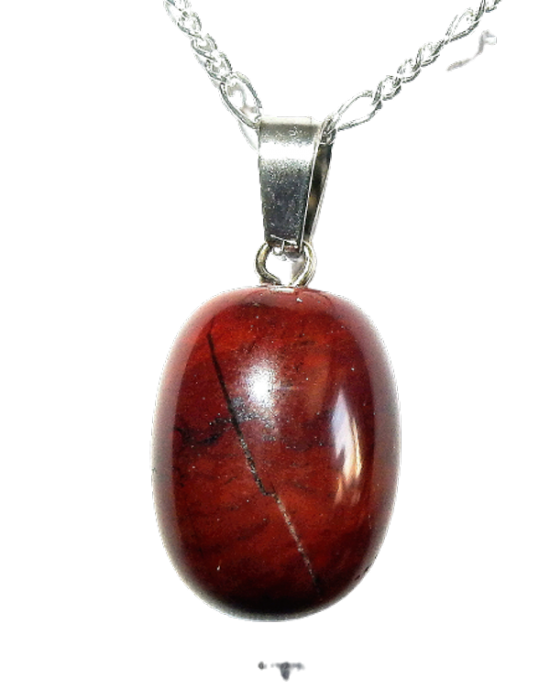 Dscn2991 removebg preview