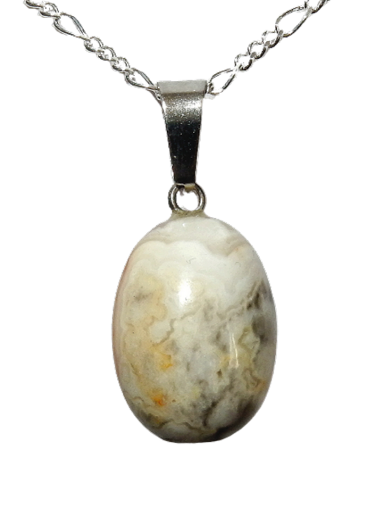 Dscn2993 removebg preview