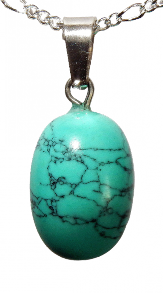 Dscn2996 removebg preview