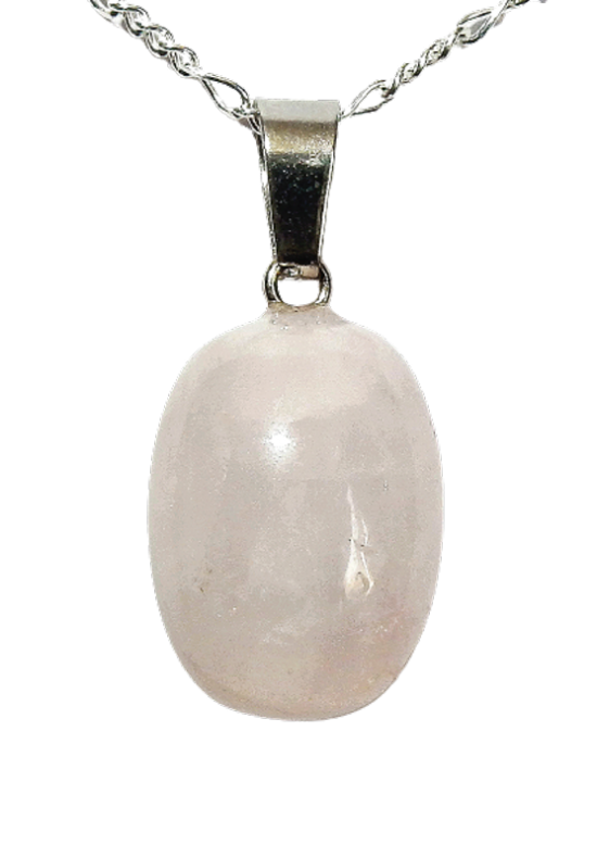 Dscn2998 removebg preview