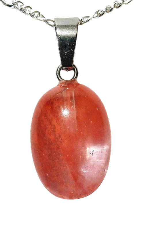 Dscn2999 removebg preview