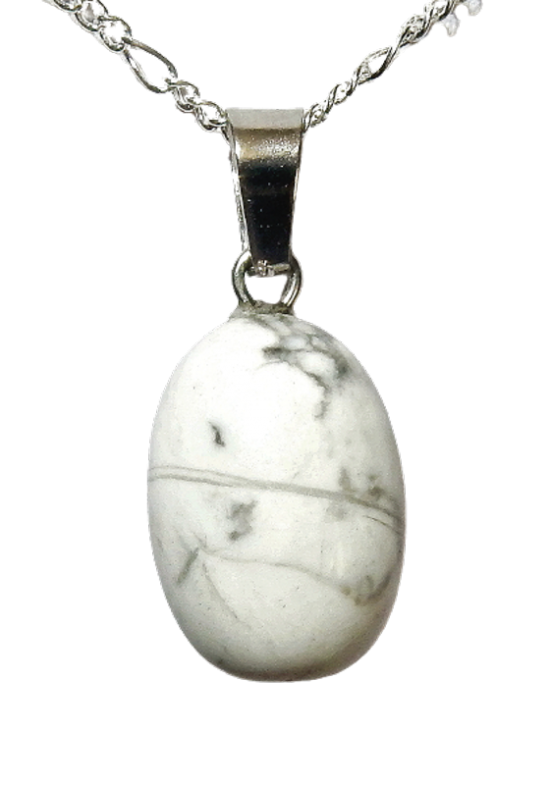 Dscn3002 removebg preview