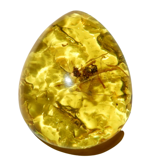 Dscn3424 removebg preview