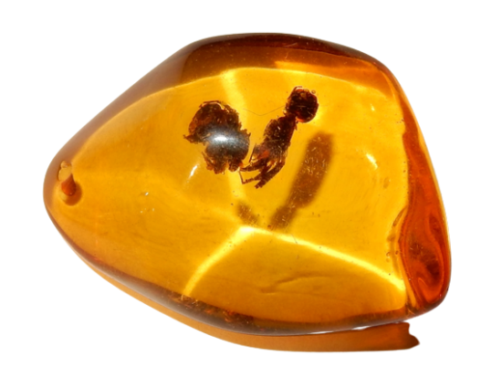 Dscn3425 removebg preview