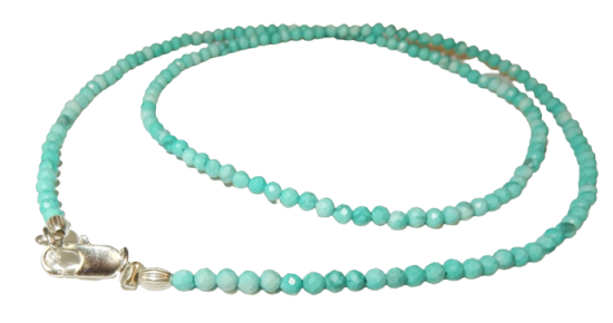 Dscn3455 removebg preview