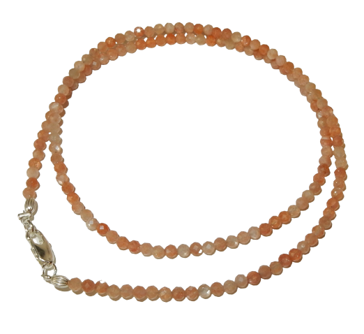 Dscn3478 removebg preview