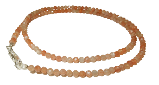 Dscn3479 removebg preview