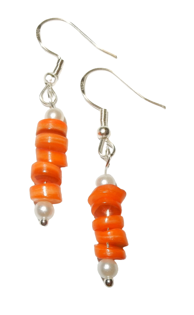 Dscn3557 removebg preview