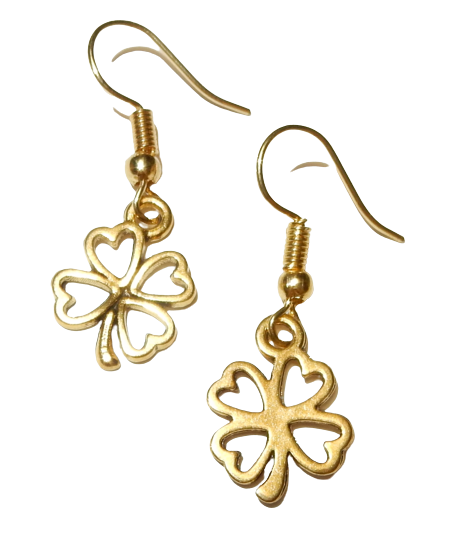 Dscn3582 removebg preview