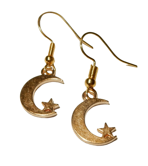 Dscn3586 removebg preview